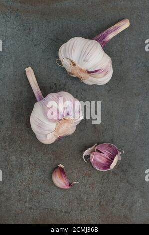 Due teste e spicchi d'aglio su fondo di pietra grigio-blu. Foto Stock