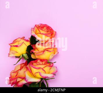 Bouquet di rose di colore giallo Foto Stock