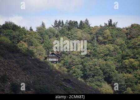 piccola capanna nella foresta Foto Stock