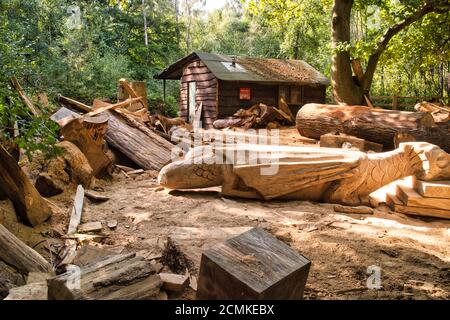 Una capanna di Carvers di legno in una radura di foresta con un hanno scolpito il tronco a forma di drago Foto Stock