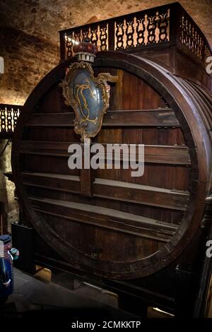 La più grande botte di vino del mondo, la Heidelberg Tun, nel castello di Heidelberg, in Germania Foto Stock