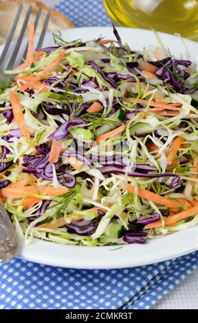 Insalata coleslaw rosso e il cavolo bianco con carote e cetrioli Foto Stock