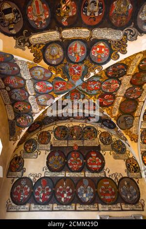 Repubblica Ceca, Praga, Mala Strana, il Castello di Praga, il Palazzo reale Vecchio, la Sala dei rotoli di Nuova Terra Foto Stock