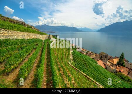 Paesaggio panoramico tra vigneti terrazzati di Lavaux da Lutry e Cully. Città di Vevey, Lago di Ginevra e Alpi svizzere, patrimonio dell'UNESCO vigneti di Foto Stock