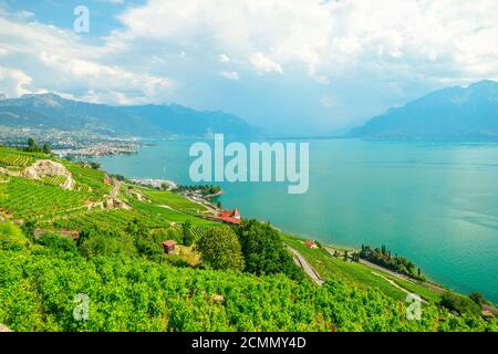 Paesaggio aereo tra vigneti terrazzati di Lavaux da Lutry e Cully. Città di Vevey, Lago di Ginevra e Alpi svizzere, patrimonio dell'UNESCO vigneti di Foto Stock