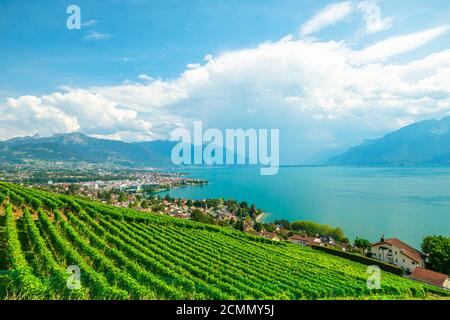 Paesaggio aereo tra vigneti terrazzati di Lavaux da Lutry e Cully. Città di Vevey, Lago di Ginevra e Alpi svizzere, patrimonio dell'UNESCO vigneti di Foto Stock