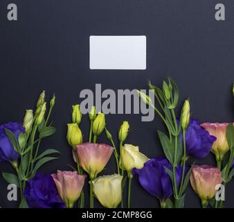 Fiori Eustoma Lisianthus e carta vuota Foto Stock