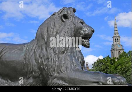 Bronzo Landseer Lion Sculpture in Trafalgar Square, con un bel sfondo blu cielo nuvoloso, con san Martins nel campo campanile in lontananza Foto Stock