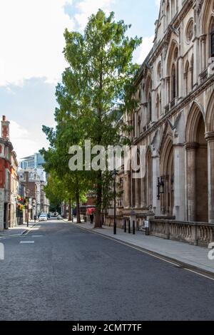 Un viale di Dawn Redwoods (Metasequoia glyptostroboides) dietro la Corte di giustizia reale, Carey Street, Londra, Regno Unito Foto Stock