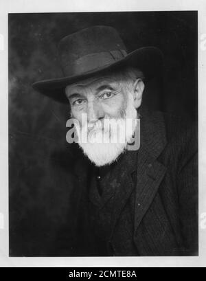 John Butler Yeats, artista irlandese e padre di William Butler Yeats Foto Stock