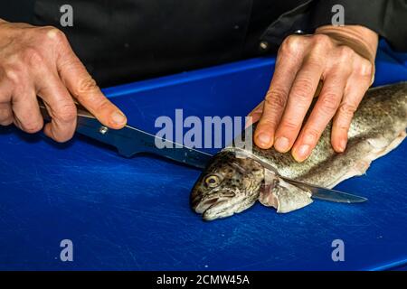 Come si raccorda una trota? Dopo aver rimosso le pinne, la testa della trota viene tagliata Foto Stock