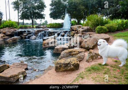 Oyster Creek Park, Sugar Land, Texas, Stati Uniti. 11 settembre 2020 Foto Stock