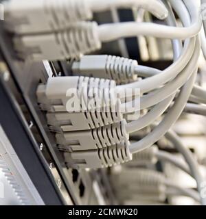 Pannello patch server rack con cordicelle grigio Foto Stock