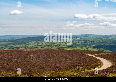 Vista dalla cima della collina di Dunkery nel Somerset Foto Stock