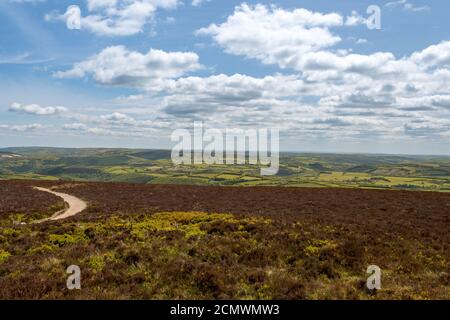 Vista dalla cima della collina di Dunkery nel Somerset Foto Stock