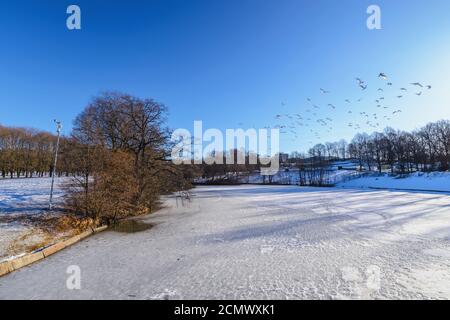 Oslo paesaggio invernale al Parco delle Sculture di Vigeland con neve e albero secco Foto Stock