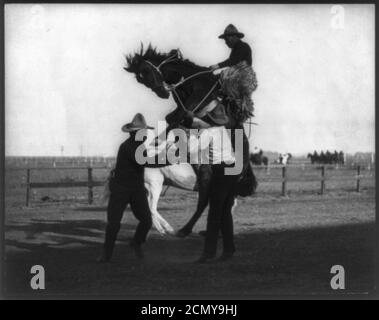 Jones su Silver City (buccing bronco), Cheyenne Frontier Days Foto Stock