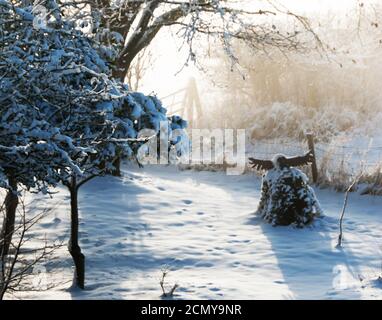 Scultura di gufo nella neve Foto Stock