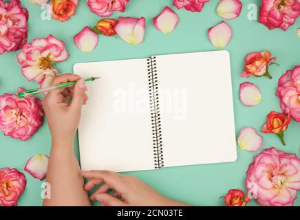 la mano sinistra femmina tiene una penna verde su bianco vuoto foglio di carta Foto Stock