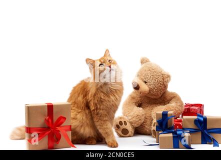 divertente gatto zenzero adulto seduto al centro delle scatole avvolto in carta marrone e legato con costolette di seta Foto Stock