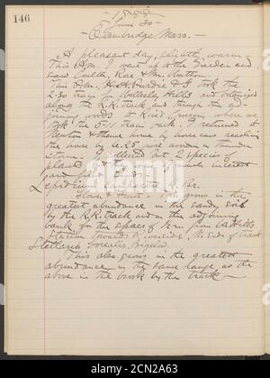 Giornale di registrazione, 1887-1890 (incluso) (pagina 146) Foto Stock