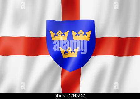 Bandiera della regione East Anglia, Regno Unito Foto Stock