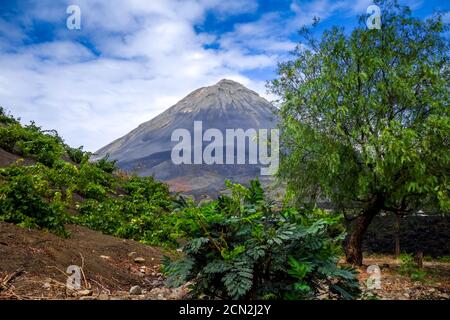 Pico do Fogo, Cha das Caldeiras, Capo Verde Foto Stock