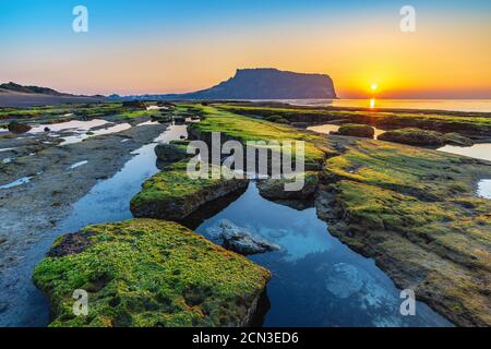 Jeju Island Corea Del Sud, Alba Natura Paesaggio A Jeju Do Seongsan Ilchulbong Foto Stock