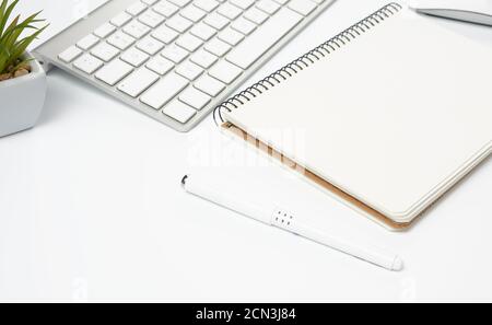 aprire taccuini di carta e penna, mouse per computer e piante verdi in un vaso su un tavolo bianco Foto Stock