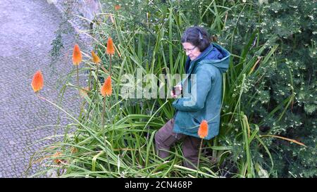 Sintra, Portogallo - 26 Dicembre 2017: la signora si occupa del giardino a Quinta da Regaleira. Foto Stock