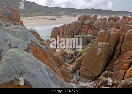 Beerbarrel Beach, St Helens Point Conservation Area Foto Stock