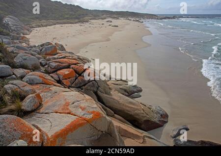 Beerbarrel Beach, St Helens Point Conservation Area Foto Stock