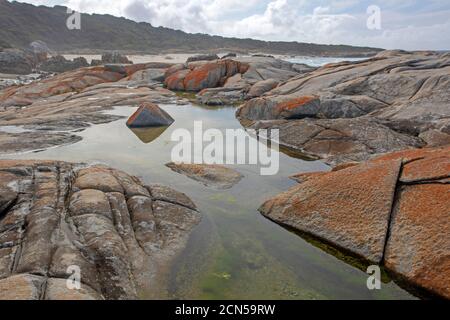 Beerbarrel Beach, St Helens Point Conservation Area Foto Stock