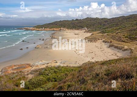 Beerbarrel Beach, St Helens Point Conservation Area Foto Stock