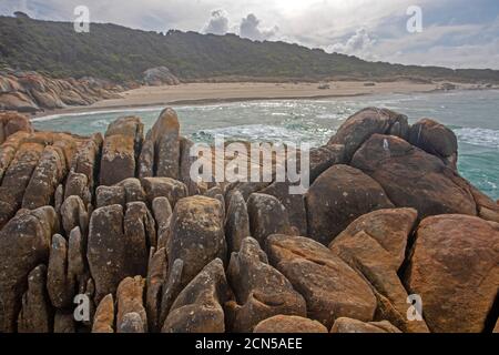 Beerbarrel Beach, St Helens Point Conservation Area Foto Stock