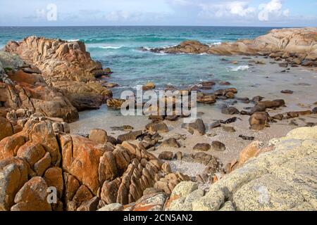 Beerbarrel Beach, St Helens Point Conservation Area Foto Stock