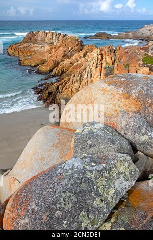 Punta a Beerbarrel Beach, St Helens Point Conservation Area Foto Stock