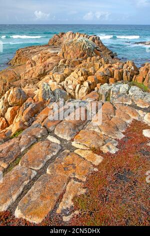 Punta a Beerbarrel Beach, St Helens Point Conservation Area Foto Stock