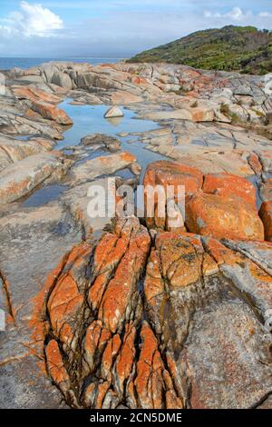 Punta a Beerbarrel Beach, St Helens Point Conservation Area Foto Stock