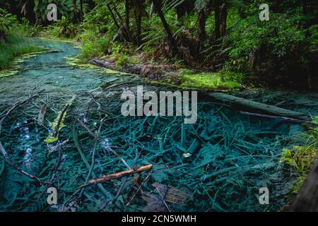 Acqua blu vibrante in uno stagno termale in Nuova Zelanda Foto Stock