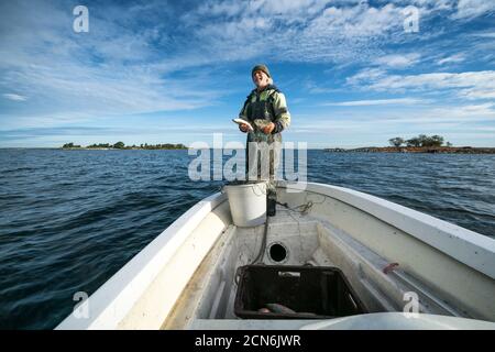 Pesca alla rete al faro di Söderskär, Porvoo, Finlandia Foto Stock