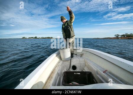 Pesca alla rete al faro di Söderskär, Porvoo, Finlandia Foto Stock