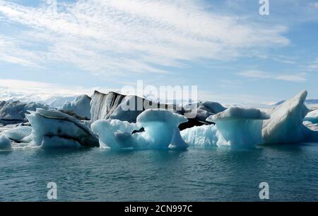 Lago glaciale di Jokulsarlon nel Parco Nazionale di Vatnajokull, Islanda. La laguna è formata da acqua glaciale fusa, bianco sempre crescente grande blocco di ghiaccio. Foto Stock