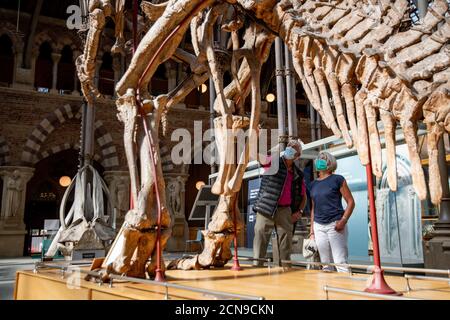 I visitatori che indossano i DPI osservano le collezioni di paleontologia presso l'Oxford University Museum of Natural History, durante il giorno di apertura dell'anteprima. I visitatori saranno accolti nuovamente dopo la chiusura del museo a causa della pandemia del coronavirus. Foto Stock