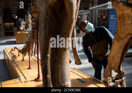I visitatori che indossano i DPI osservano le collezioni di paleontologia presso l'Oxford University Museum of Natural History, durante il giorno di apertura dell'anteprima. I visitatori saranno accolti nuovamente dopo la chiusura del museo a causa della pandemia del coronavirus. Foto Stock
