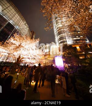 Colline di Roppongi e ciliegia Foto Stock