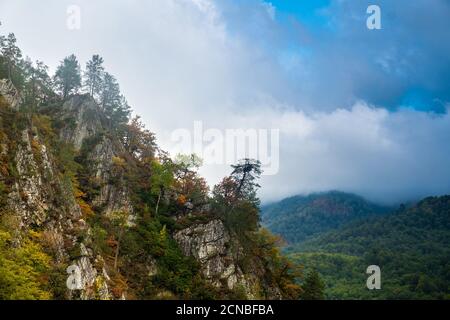 Paesaggio montano autunnale con cielo nuvoloso, krasnaya polyana, sochi, russia. Foto Stock