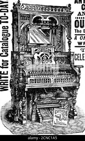 . Volume scientifico americano 64 numero 08 (febbraio 1891) . preparazione di disegni brevettuali, specifiche e prosecuzione di domande di brevetti negli Stati Uniti, in Canada e in altri paesi. I signori M unn &Co. Si occuperanno anche della preparazione di Caveats. Copyrightsper libri, etichette, ristampe, assegnazioni e violazioni dei brevetti da parte di Reportson. Tutto il commercio intonthem intrusted è fatto con cura speciale e tempestività, a termini veryragionevoli. Un opuscolo inviato gratuitamente, su richiesta, con-ottenere le informazioni complete sui brevetti e come pro-curarli; indicazioni riguardanti L Foto Stock