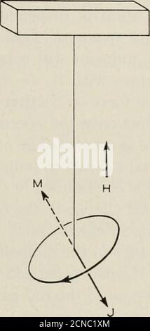 . La rivista tecnica Bell System . ^ Q C ^ Fig. 18 – il momento magnetico, M, e il momento di slancio, /, dell'anelettrone nella sua orbita attorno al nucleo. Un cambiamento in un momento comporta una variazione nell'altro, il rapporto (giromagnetico) rimanendo costante. Direzione in modo che un dominio scomparirà completamente. Il motivo per il mancato verificarsi di questa progressione tranne in certe circo-posizioni è probabilmente collegato con l'esistenza di gradienti di deformazione. Effetto giromagnetico nella discussione della struttura degli atomi ferromagnetici, uso wasmade del concetto di spin elettronico. Questa sezione si rialzer Foto Stock