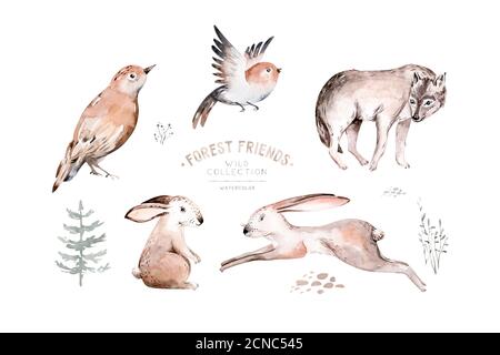 Set di animali da bosco. Gufo, riccio, volpe e farfalla, coniglio coniglietto set di scoiattolo foresta e chipmunk, orso e uccello animale bambino, scandinavo Foto Stock
